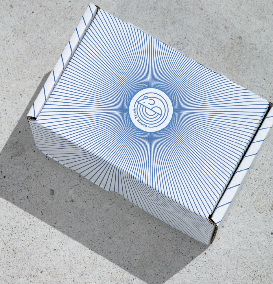 White box with White Mausu logo in blue with lots of blue lines 